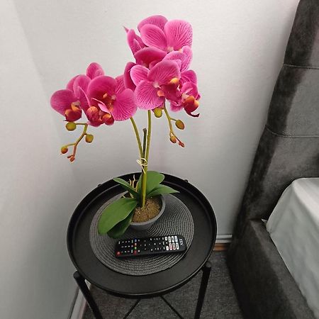 Chic Boutique Dumbrava Apartment Сибиу Екстериор снимка