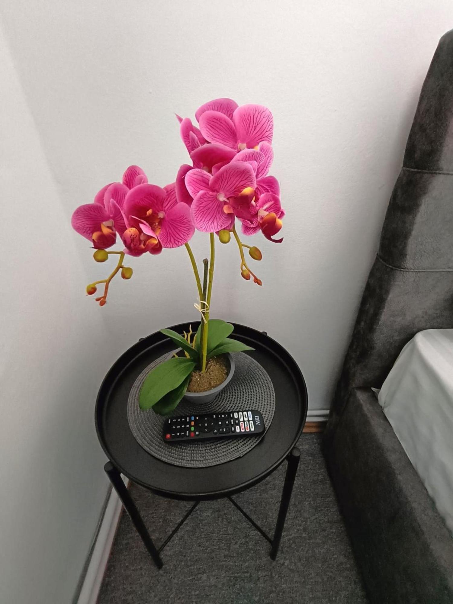 Chic Boutique Dumbrava Apartment Сибиу Екстериор снимка